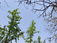 -都江堰石锅鱼