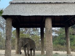 -清迈夜间动物园