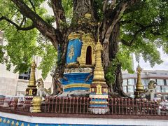-孔雀湖生态旅游区