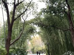 -苏州河梦清园环保主题公园