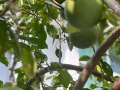 -丝绸小镇荻港古村