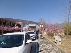 -青峰峡国家森林公园