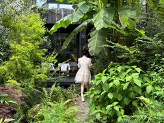 -植觉