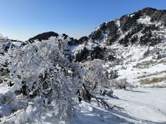 -神农架景区