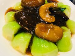 -糖朝(尖沙咀店)