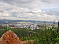 -长虫山生态公园风景林