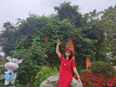 -荷兰花海