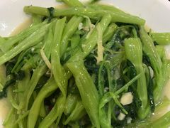 -华翔农庄(沙埔店)