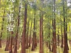 -星湖旅游景区七星岩