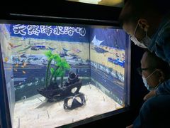 -烟台海昌鲸鲨海洋公园