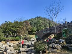 -桃花岭景区