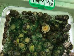 -哈味食店(外伶仃岛店)
