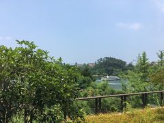 -梅地亚君澜度假酒店俱乐部