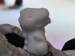 -宁波冰雪大世界(北仑区)