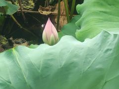 -千龙湖生态旅游度假区