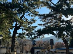 -醍醐寺