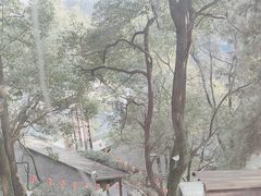 -巴倒烫陆派重庆火锅(南山店)