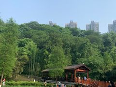 -重庆彩云湖湿地公园