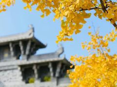 -北京园博大酒店