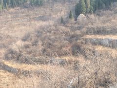 -原山国家森林公园