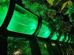 -花水湾第一村温泉大酒店