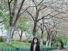 -昆山城市公园