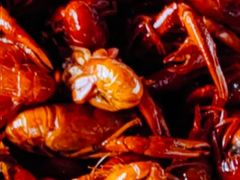 -辣不怕口味虾(凌霄路店)