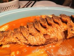 -阿五黄河大鲤鱼(英协路店)