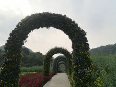 -广州市石门国家森林公园