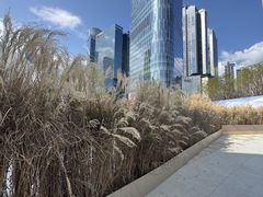 -深圳湾万象城(南山店)