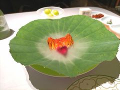 -淮扬府·游园京梦(成都 SKP 店)