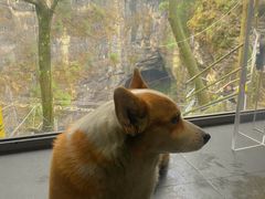 -贵阳猴耳天坑·极限酷玩公园