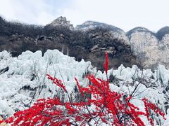 -云台山风景名胜区