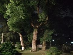 -杭州香格里拉饭店