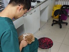 -利又安动物医院··老年病·猫科犬科·中兽医