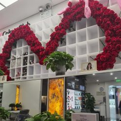 -巴黎劳伦LF