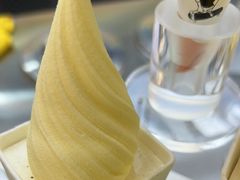 -野人先生现做冰淇淋(北京悠唐购物中心店)