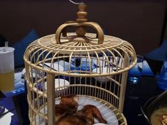 -赫帝拉航空主题餐厅(南宁店)