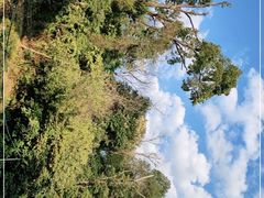 -广州市流溪河国家森林公园