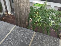 -自如ZSPACE四合院艺术餐厅