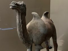 -敦煌市博物馆