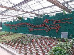 -万源龙顺度假庄园生态观光园