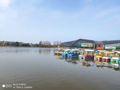 -上海长兴岛郊野公园