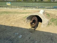 -上海野生动物园