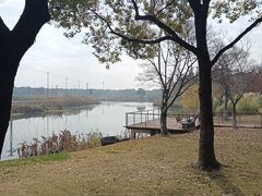 -贡湖湾湿地公园