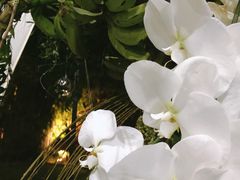 -湖滨客舍·湖北菜