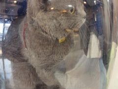 -贝康宠物医院·犬猫全科·小动物特色诊疗中心(东环路店)
