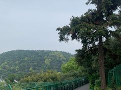 -树山生态村
