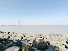 -上海吴淞炮台湾国家湿地公园