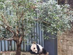 -黔灵山公园